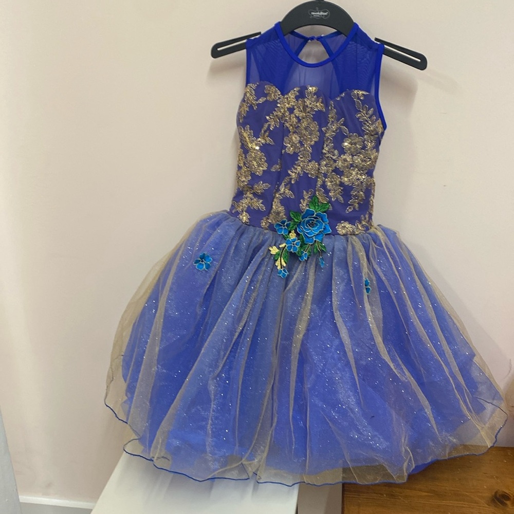 REVOLUTION DANCEWEAR  Ballet costume- Enchanted Suite Size: LC ;worn once - Picture 2 of 6